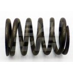 Image for VALVE SPRING OUTER MIDGET