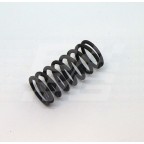 Image for VALVE SPRING MIDGET 1275