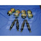 Image for MGF TROPHY SUSPENSION KIT - NLA