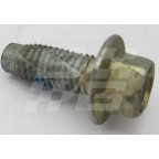 Image for Screw flanged (Thread cleaning)