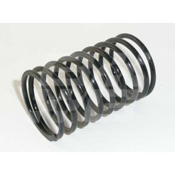 Image for MGC King pin dust tube spring(each)