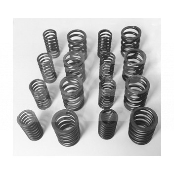 Image for MGA/B Comp valve spring set