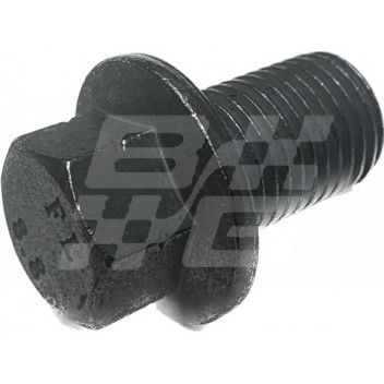 Image for Plug oil sump ZT R75 2.0L Diesel