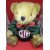 Image for Buster Teddy Bear with Green Jumper