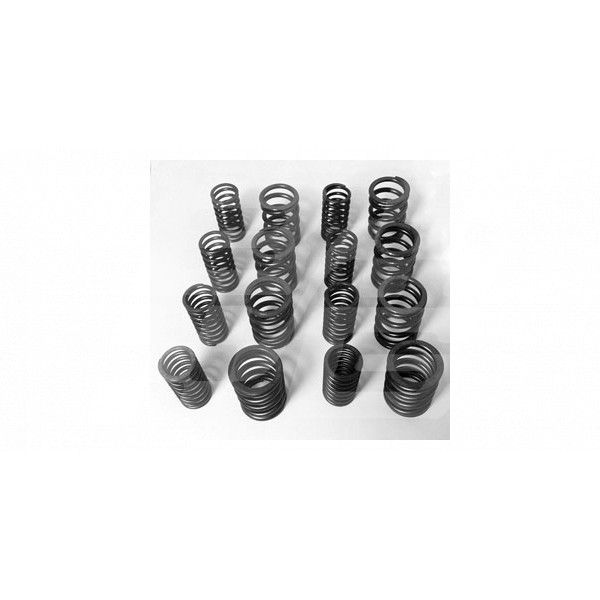 Image for VALVE SPRINGS RACE/RALLY MGA/B