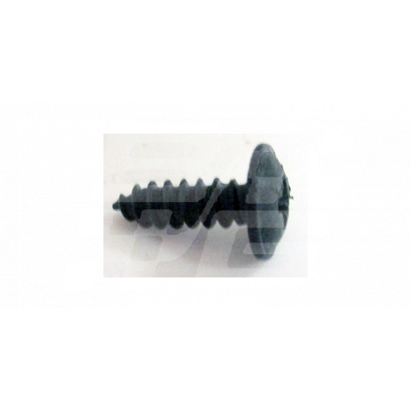 Image for SCREW