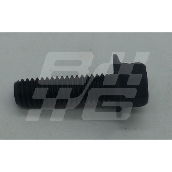 Image for Flanged screw M6 X 20mm(Black)